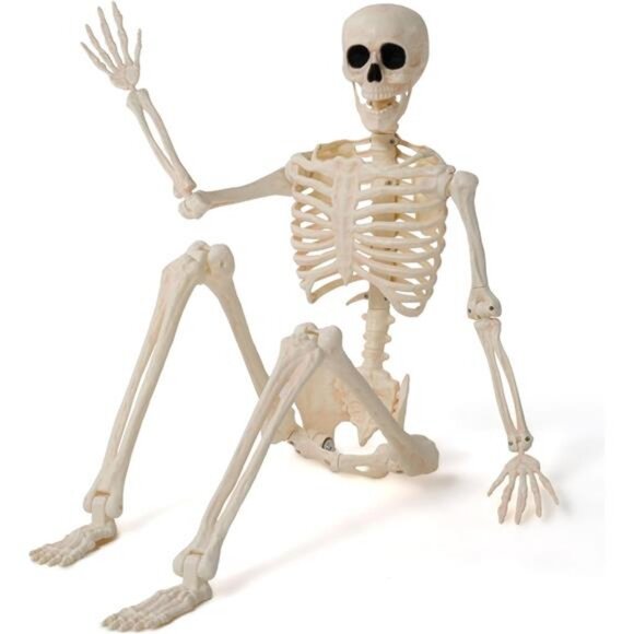 36" Halloween Skeleton Decor, 3FT Full Body Stayable Movable Joints - Picture 1 of 7